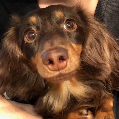 lucoand's profile picture