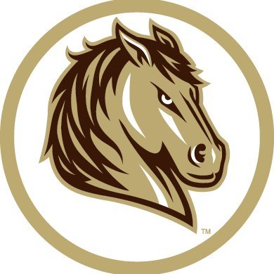 SMSUMustangs's profile picture