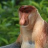ABCDABCD's profile picture