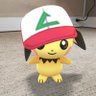Profilbild von Pikatrainer