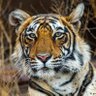 MrScott1891's profile picture