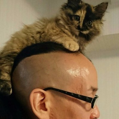 鞭匠 初代 桃太郎's profile picture