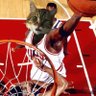 Фото профиля BruceMcBuckets