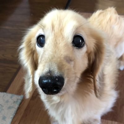 momoken6's profile picture