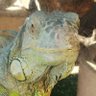 Фото профиля にせだよ