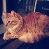 Mianame's profile picture