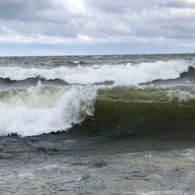 Lake Michigan's profile picture