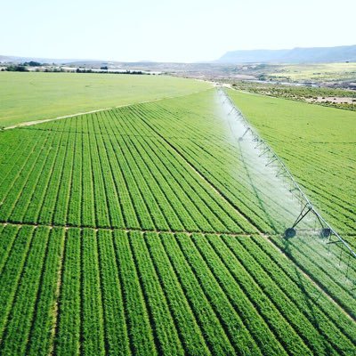 Farming_SA's profile picture