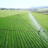 FarmingInSA 的头像