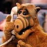 Gil com L's profile picture