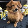 きこ's profile picture