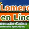 LOMEROS EN LINEA profil fotoğrafı