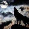 Mighty Wolf profil fotoğrafı