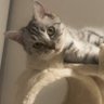 hope_chong's profile picture