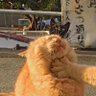 sutra's profile picture