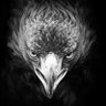 Profilbild von Kapalı Üst Orta 🦅