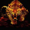 Baraka24 的头像