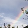 みかりん☆･ﾟ:*:ﾟ profil fotoğrafı