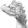 Profilbild von Mättel