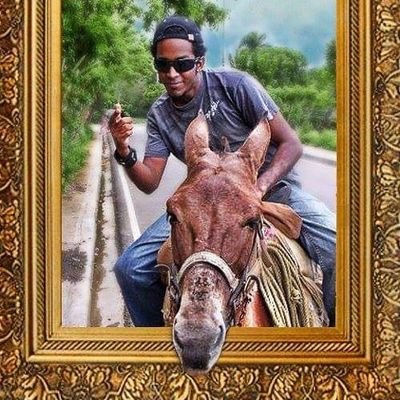 EGV's profile picture