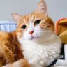 Profilbild von d96184