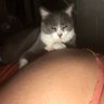 Alma Nunez's profile picture