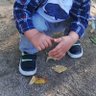 Pauliiiine ✌ profil fotoğrafı