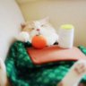 かおりん 的头像