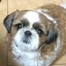ヒロ 的头像