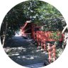 ブロンチェ改め葉っぱボーイ's profile picture
