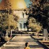 عدنان قايد 233-01709 profil fotoğrafı
