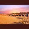 Profilbild von عادل القرص