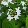Фото профиля Fabrizia