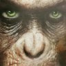 carlongy profil fotoğrafı