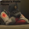 Blaudari profil fotoğrafı