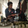 नि:shant's profile picture
