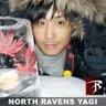 Фото профиля YAGI RINGO