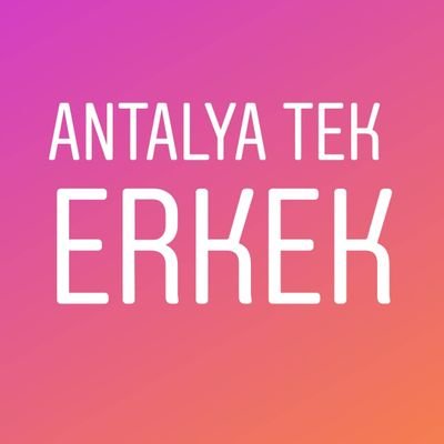 antalytek07's profile picture