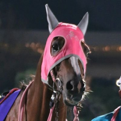 夕夏's profile picture