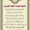 محمود الشيخ's profile picture