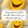 Walid El Mohamady's profile picture
