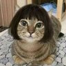 Profilbild von ElainemsB