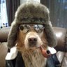 Фото профиля Tom