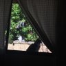 Фото профиля chileno_cansado