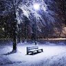 bobsnow 的头像
