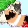Profilbild von 雛子🐹ྀི🐹ྀི