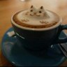 ナムラ黒王's profile picture