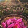 Фото профиля Rania