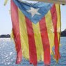 Ignasi banyoescalenc's profile picture