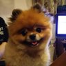 Profilbild von ぽんぬ